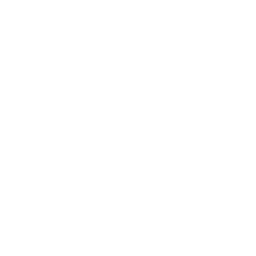 Emergency 247 Service